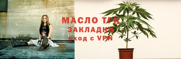 СК Алексин