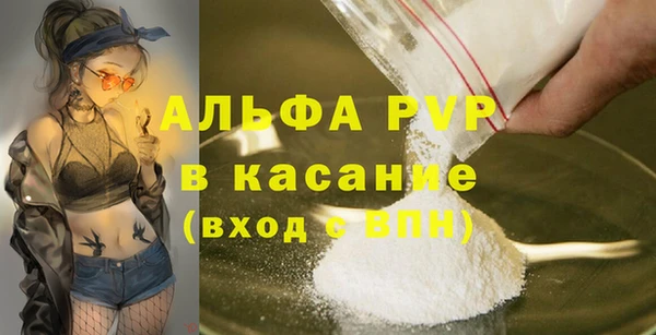 СК Алексин