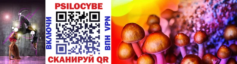 купить Ардон Галлюциногенные грибы Cubensis